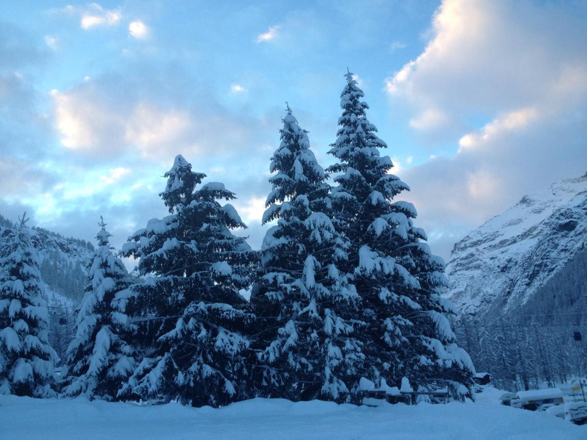 Hotel Nordend Gressoney-La-Trinite Bagian luar foto